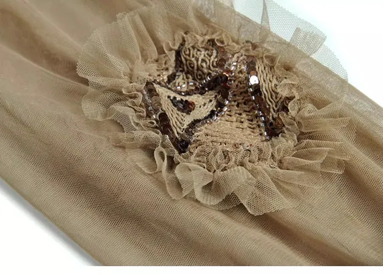 Blaire  Sequins Beading Embroidery Mesh Dress