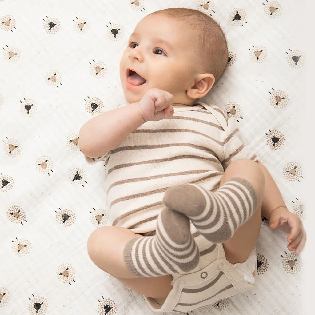 Counting Sheep 3 Pack Bodysuits