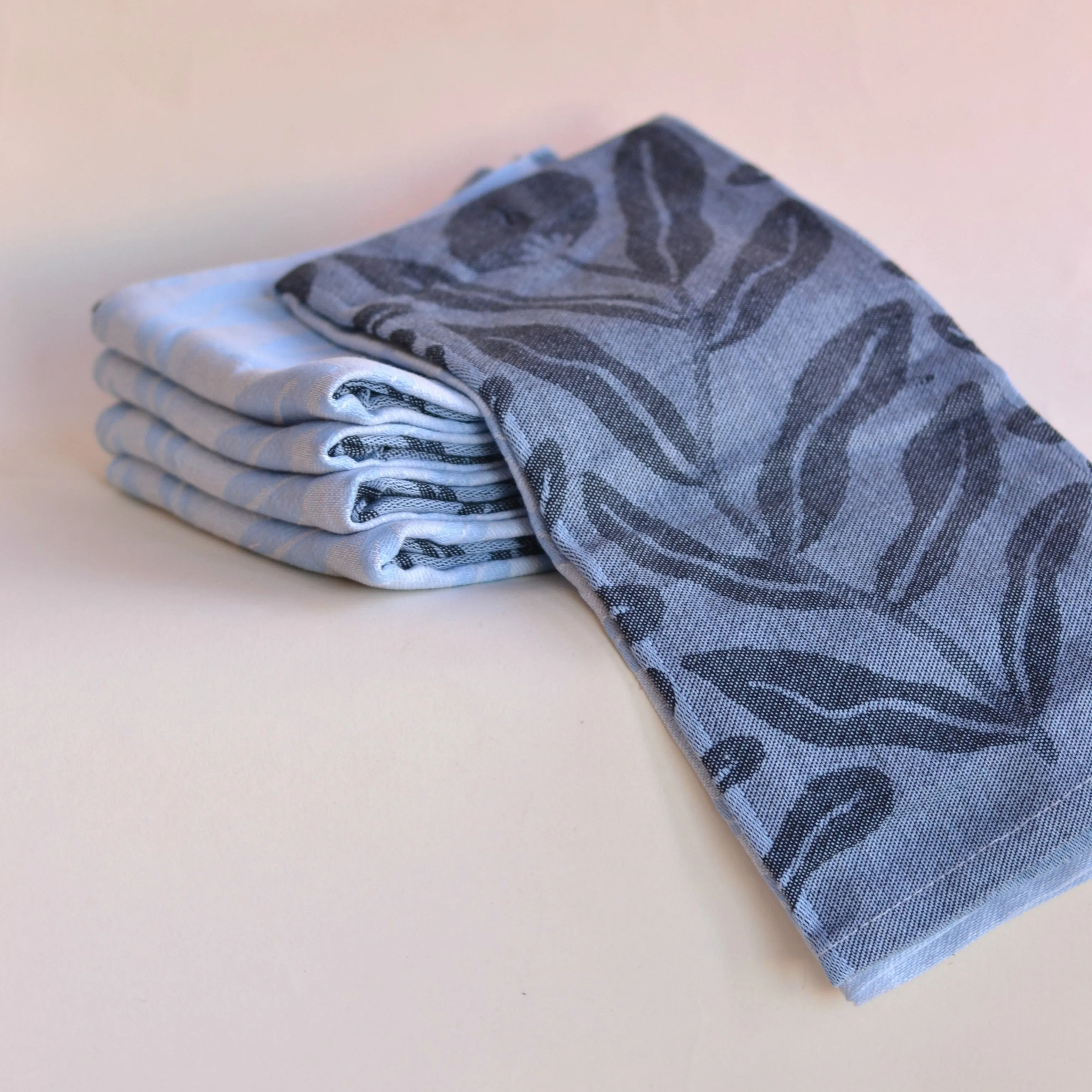Danica Studio |  Cotton Jacquard  Dishtowel, Light and Dark Blue