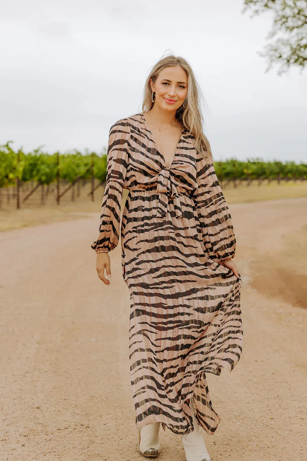 Desirae Stampede Dress
