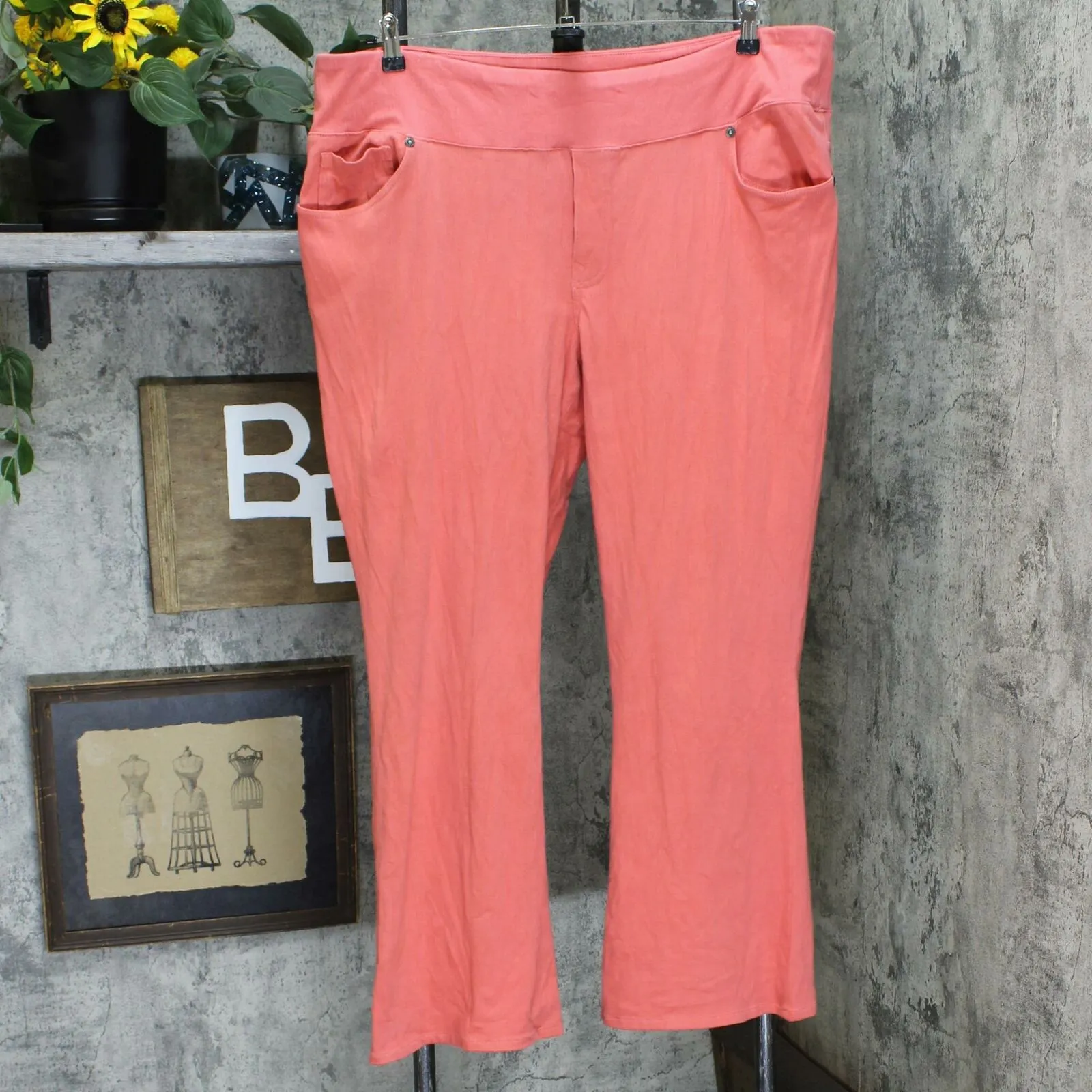 DG2 by Diane Gilman Stretch Knit Twill Boot-Cut Jeggings Terracotta 2X Petite