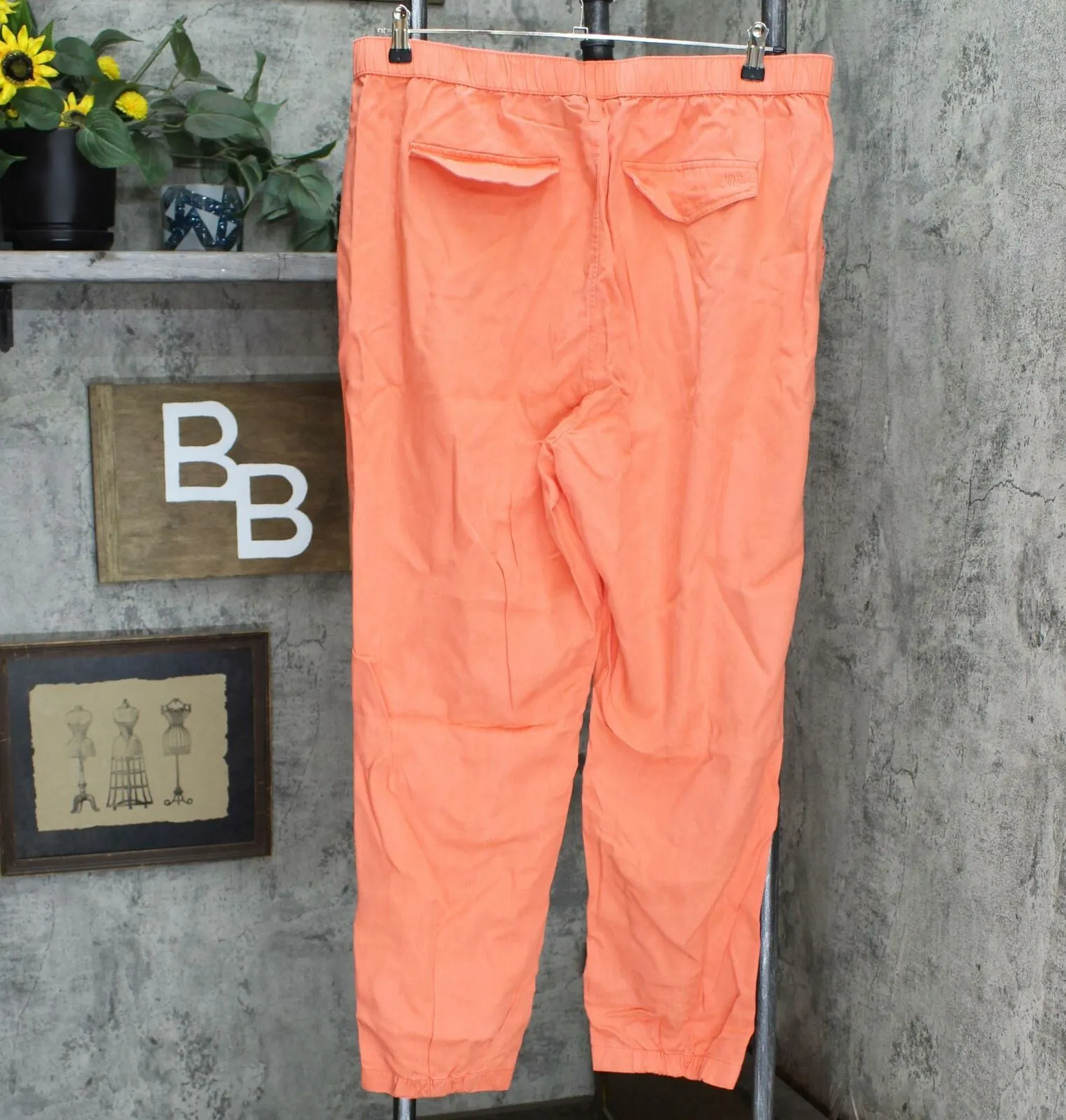 DG2 by Diane Gilman Tall Plus Elastic Waist Cropped Soft Pants Cherry 1X Tall