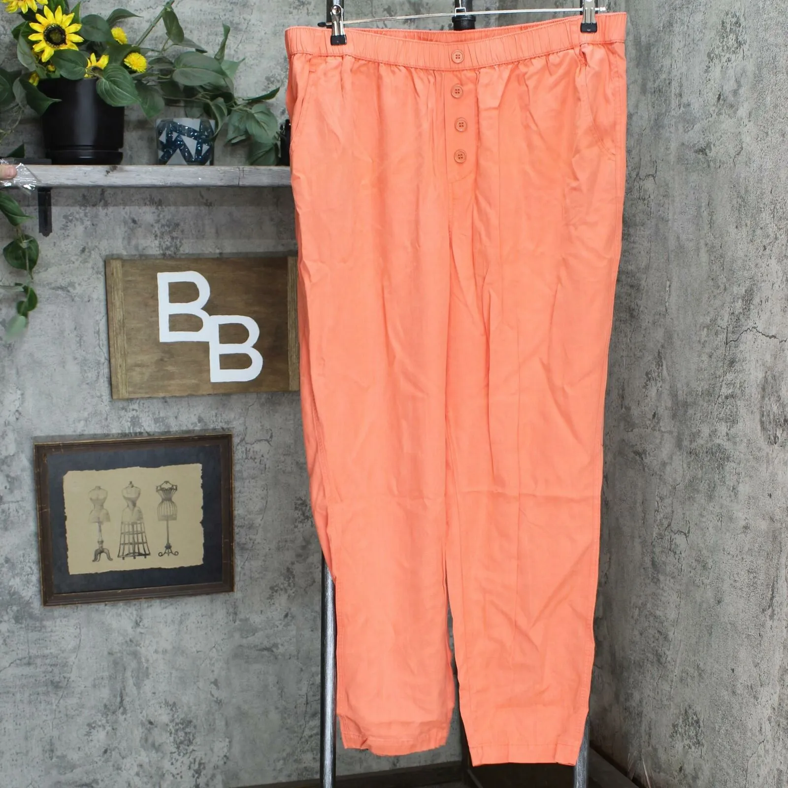 DG2 by Diane Gilman Tall Plus Elastic Waist Cropped Soft Pants Cherry 1X Tall