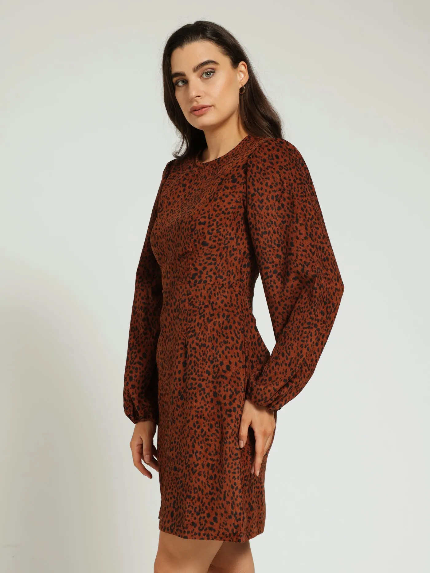 Long Sleeve Animal Corduroy Shift Mini Dress - Black/Brown