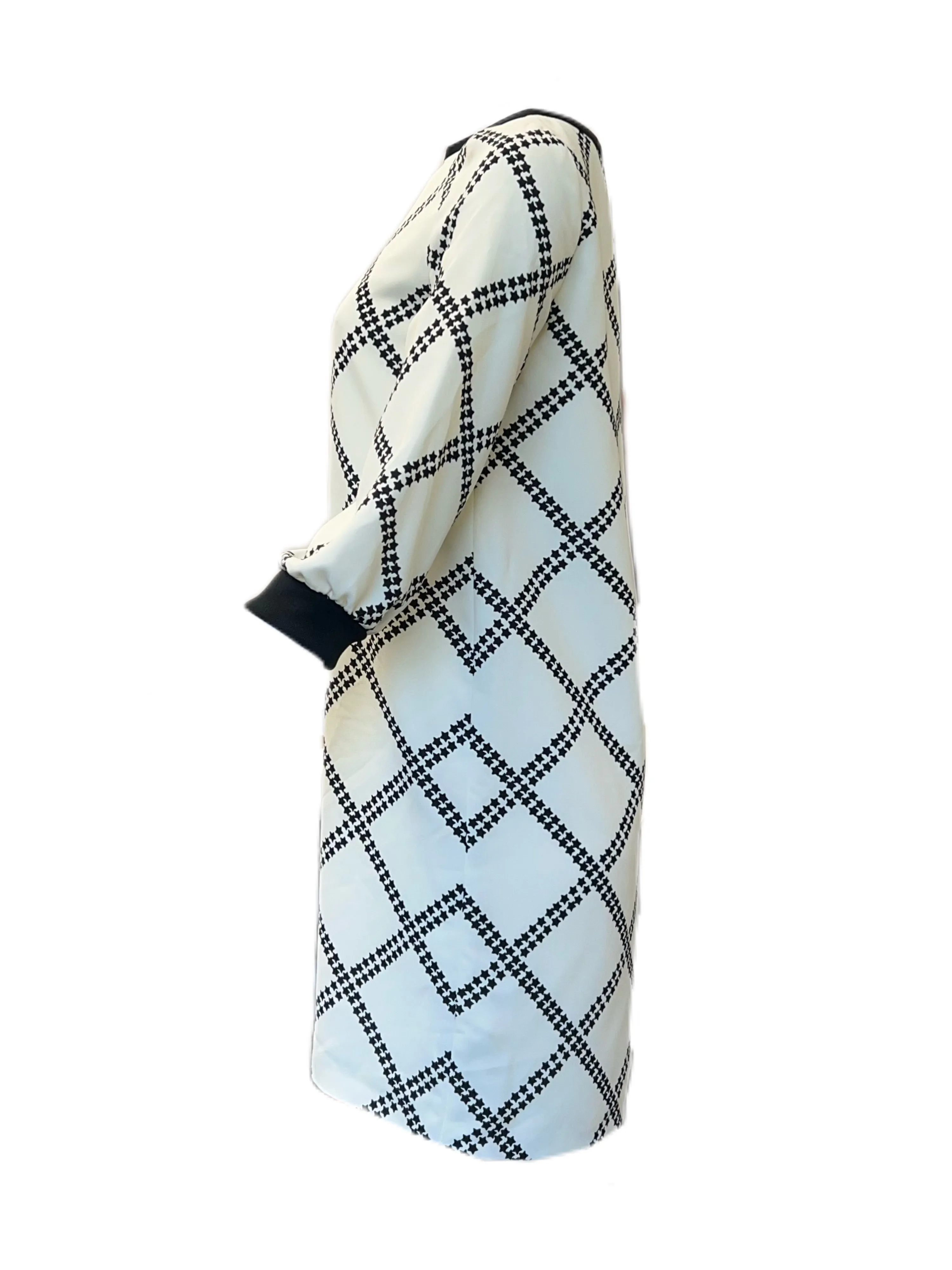 Marella By Max Mara Women's Bianco Francis Shift Dress Size 4 NWT