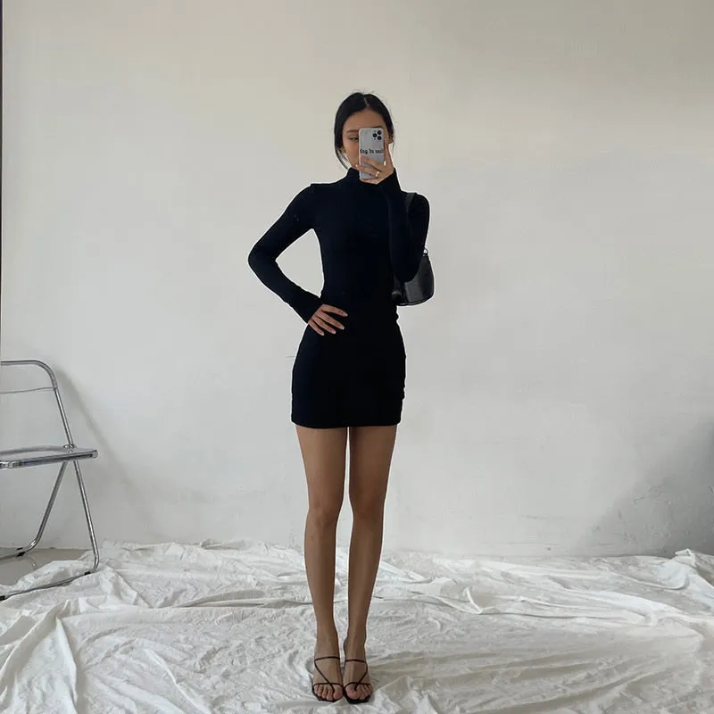 Sexy Rib Knit Warm Mini Dress Solid Turtleneck Skinny Mini Dress