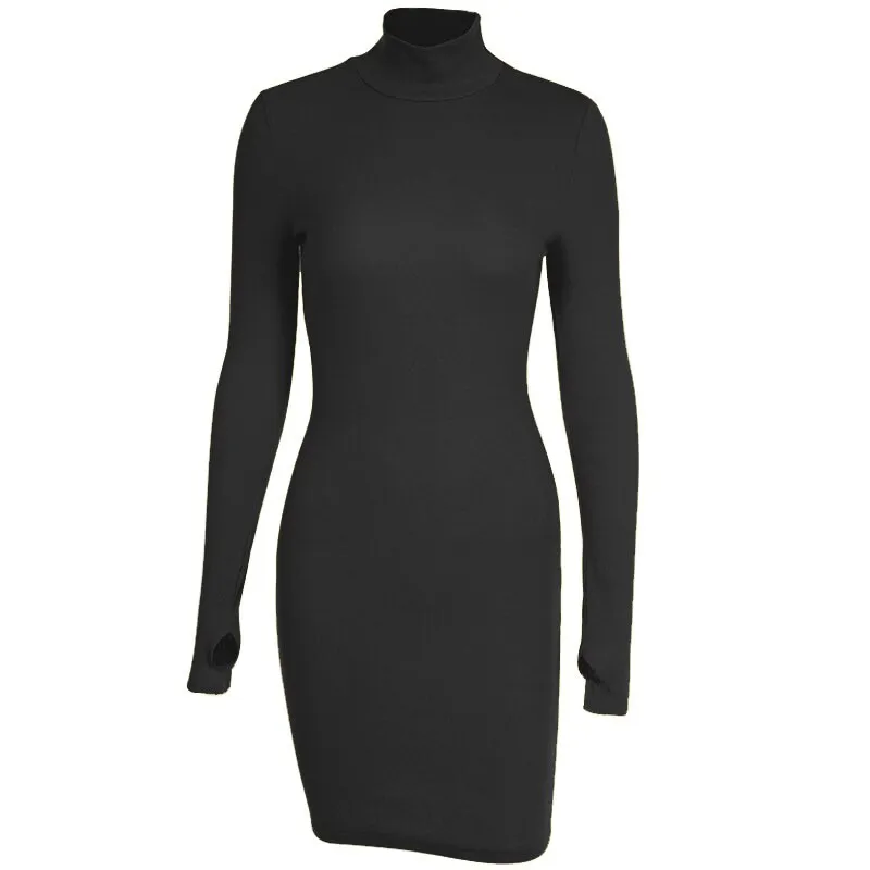Sexy Rib Knit Warm Mini Dress Solid Turtleneck Skinny Mini Dress