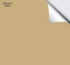 Taubmans Hakea