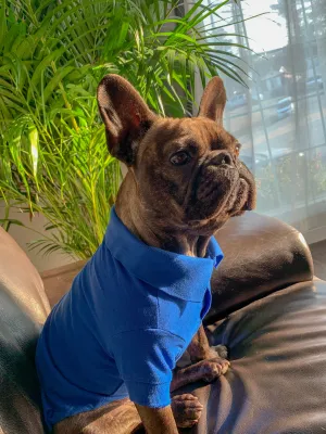 The Everyday Polo - Warriors Blue