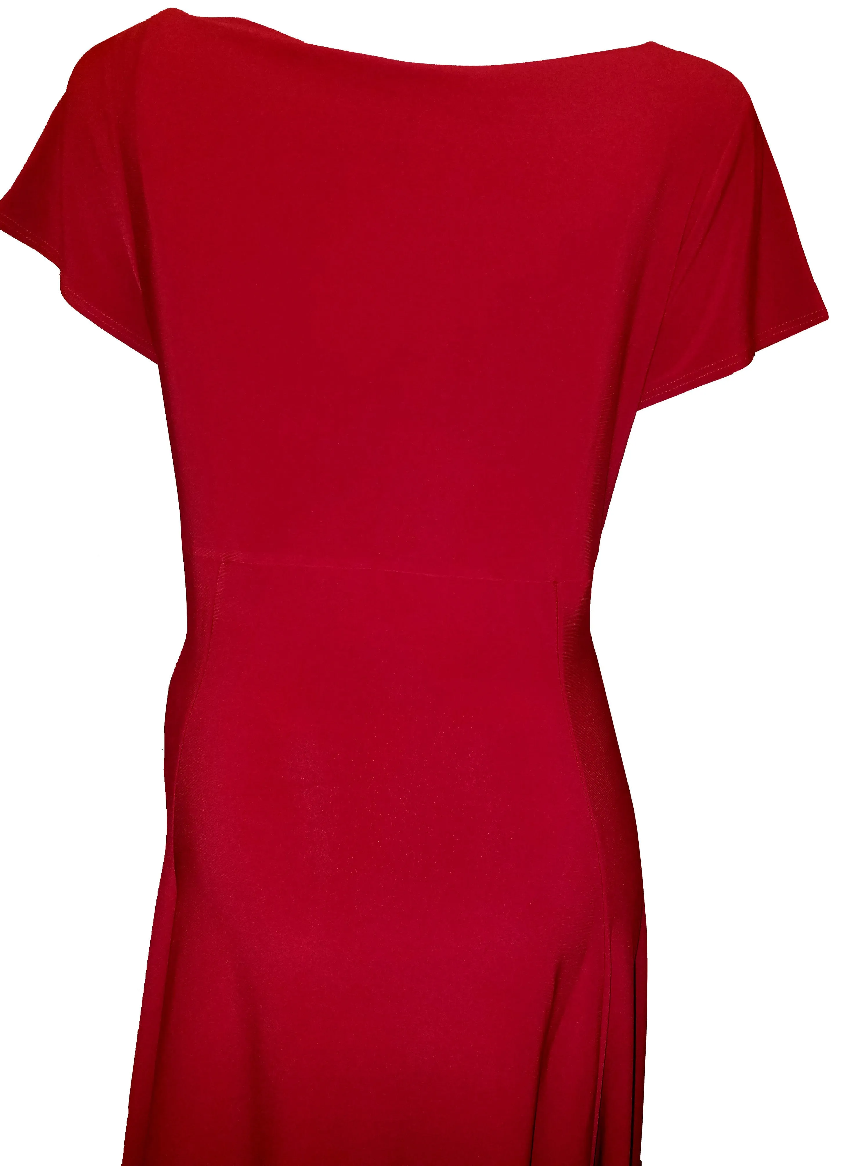 The Shimmering Red Dress